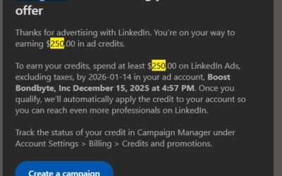 I Spent $250 on LinkedIn Ads. Here’s What I Actually Got.